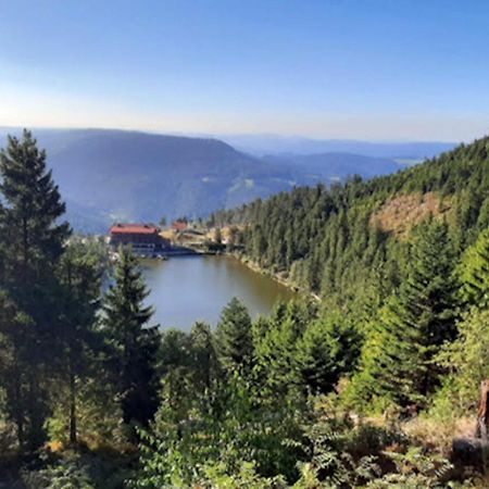 Apartmán Rehkitz Baiersbronn Exteriér fotografie